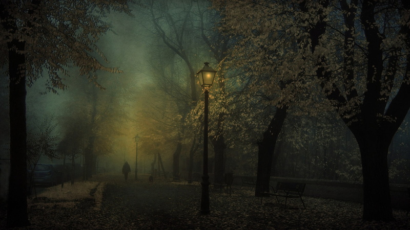 atmosphere, bench, dark, park, 1080P, lantern, trees, leaves, fall, mist, landscape, car, walking, nature