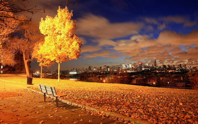 bench, nature, architecture, cloud - sky, lighting equipment, lights, fire, built structure, outdoors, land, no people, burning, fall, building, city, autumn