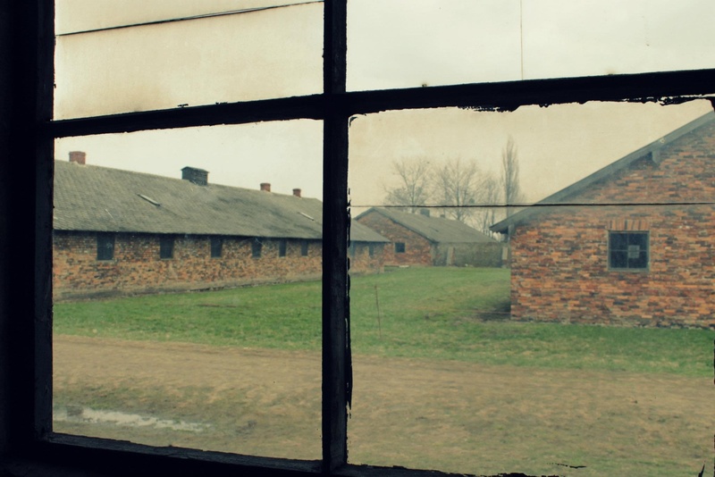 monument, travel, grass, tourism, residential district, capital, city, documentary, war, auschwitz, poland, dark, daytime, night, built structure, brown