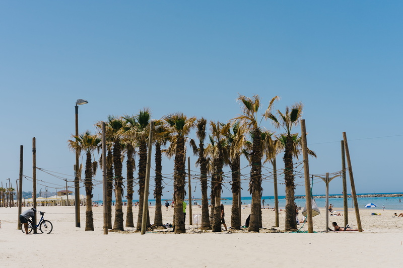 summer, background, clear, sea, palm, tranquility, woman, beaches, clear sky, water, nature, israel, trees, beauty in nature, bike, sunlight, no people