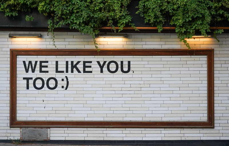wall, wood, tile, like, text, brick, happy, outdoors, entrance, sign, business, positive, type, tree, friendship, background, plant, no People, leafe, 5K