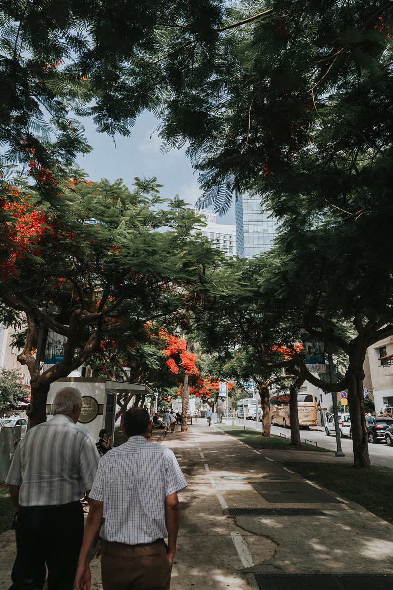 5K, day, street, sidewalk, tree, outdoors, women, city, worship, tel aviv district, people, walkway, plant, couple - relationship, couch, walking, incidental people