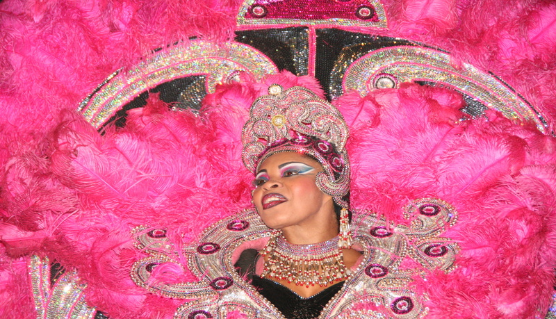 portrait, one person, brazil, festival, carnaval, lady, smiling, young women, 4K, adult, samba, clothing, arts culture and entertainment, cultures, beautiful woman