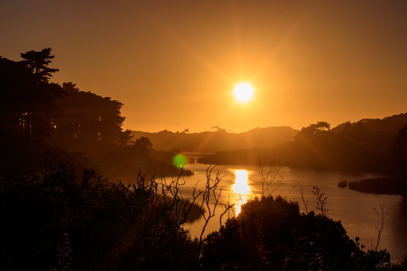 sun, united states, lake, tranquility, tree, lake merced, outdoors, tranquil scene, forest, sunset, non-urban scene, san francisco, beauty in nature, trees