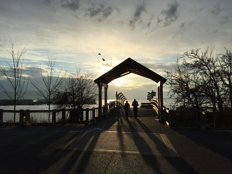 shadow, silhouette, real people, Bay, bay, Boulevard, plant, sunset, the way forward, architecture, sunlight, built structure, building exterior, transportation
