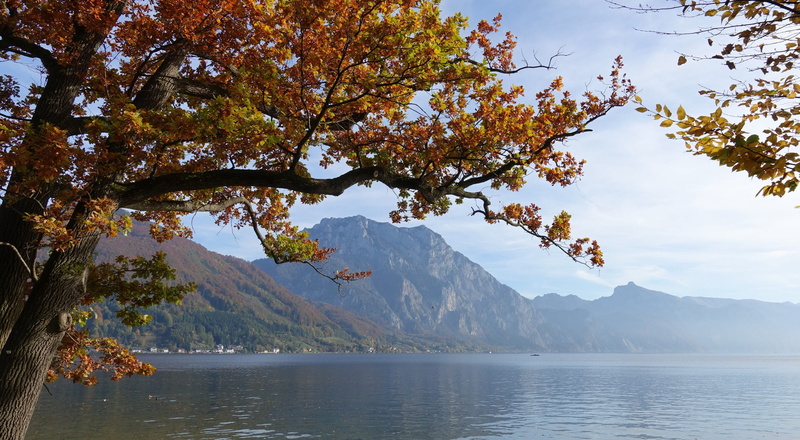 mountain peak, tree, scenics - nature, fall foliage, nature, outdoors, 2K, tranquil scene, plant, lake, beauty in nature, day, traunsee, travel destinations
