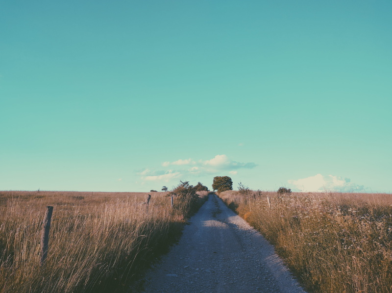 path, field, austria, grass, straight, land, day, copy space, road, direction, 4K, sky, nature, no people, footpath, thuringia, environment, rohrbach in oberösterreich