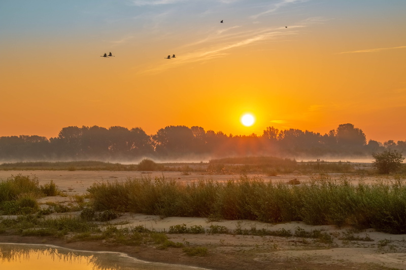 tree, clouds, in the morning, tranquility, mood, sunset, no people, river, plant, sky, water, outdoors, orange color, light, sun, tranquil scene, environment