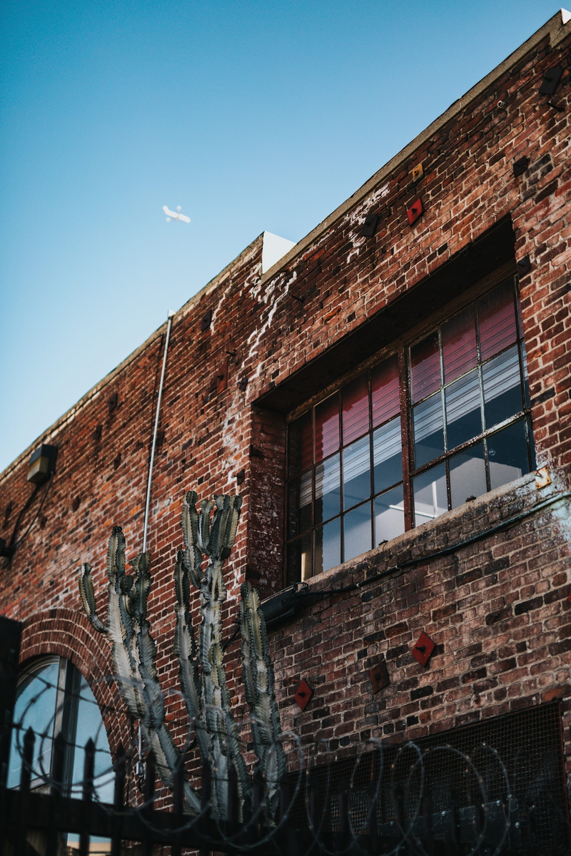 brick, window, la, los angeles, nature, 5K, cactus, building, old, residential district, brick wall, united states, architecture, roof, low angle view