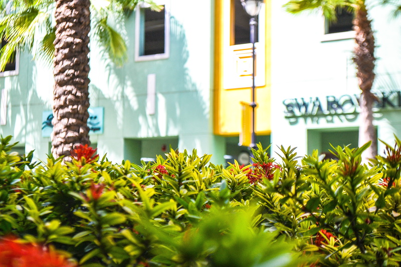 growth, building exterior, window, palm tree, red flower, hotel, yellow, tree, plant part, day, renaissance curacao resort and casino, garden, casino, plant