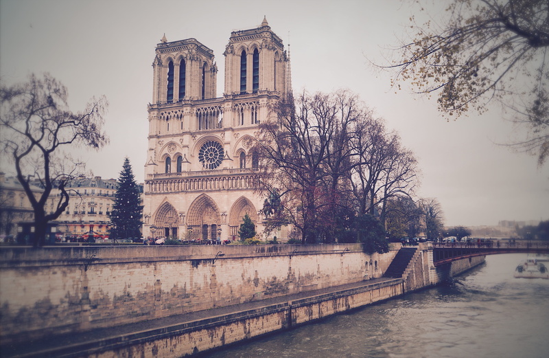 architecture, paris, religion, notre dame, nature, water, chirch, belief, spirituality, bare tree, 4K, travel destinations, 59 pont neuf, bridge, outdoors