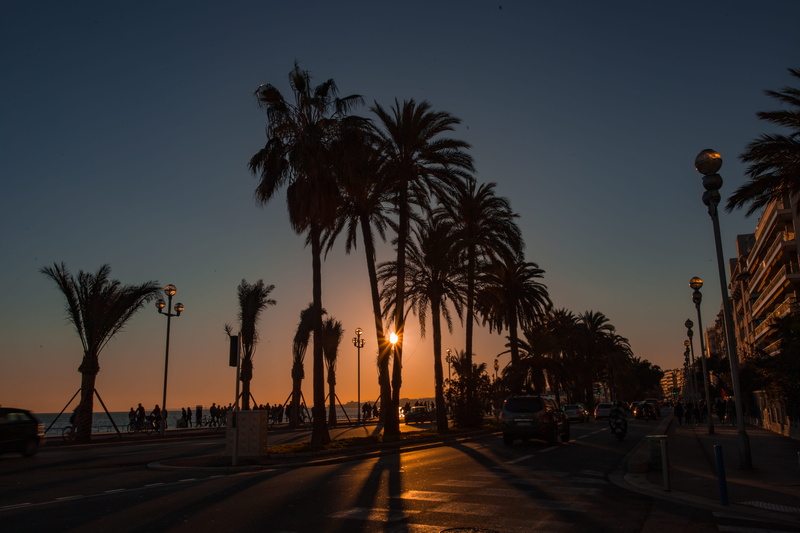 sky, city, urban, treelined, road, growth, lighting equipment, coconut palm tree, plant, 5K, outdoors, beach, black, orange color, see, nice, palm, sunset