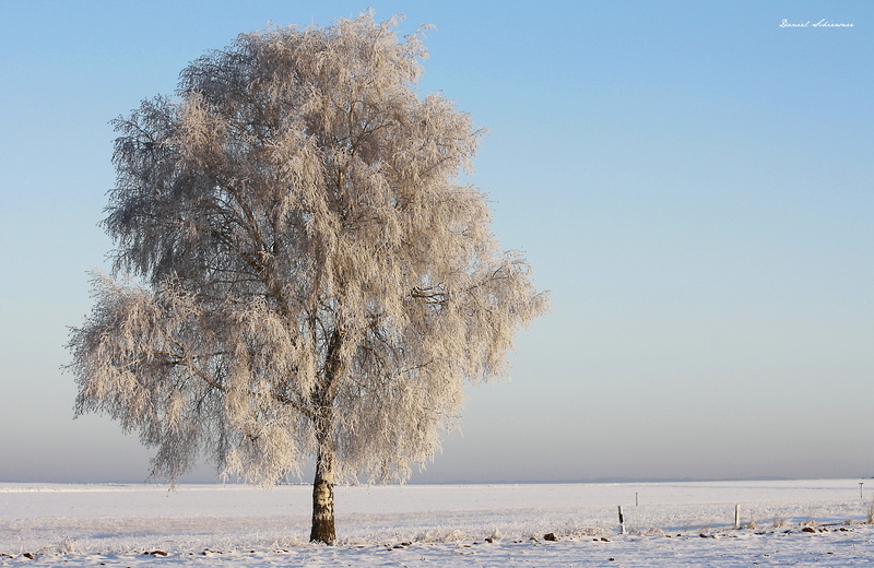 cold - Temperature, Bayern, winter, forest, Canon, 2K, tree, Franken, Natur, Germany, field, blue, Oberfranken, Nature, snow field, scenics, snow, outdoors