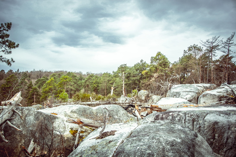 day, tree, tranquility, rock - object, solid, flowing water, green, after, photography, american, plant, scenics - nature, trekking, fontainebleau, beauty in nature