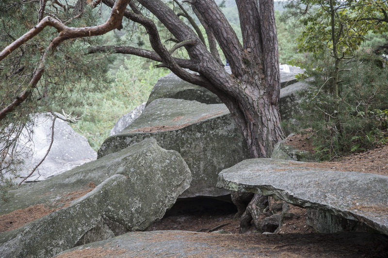 tranquil scene, ride, trunk, wood, outdoors, no people, tree trunk, environment, path, flowing water, block, pierre, 5K, tranquility, foam, hardwood, tree