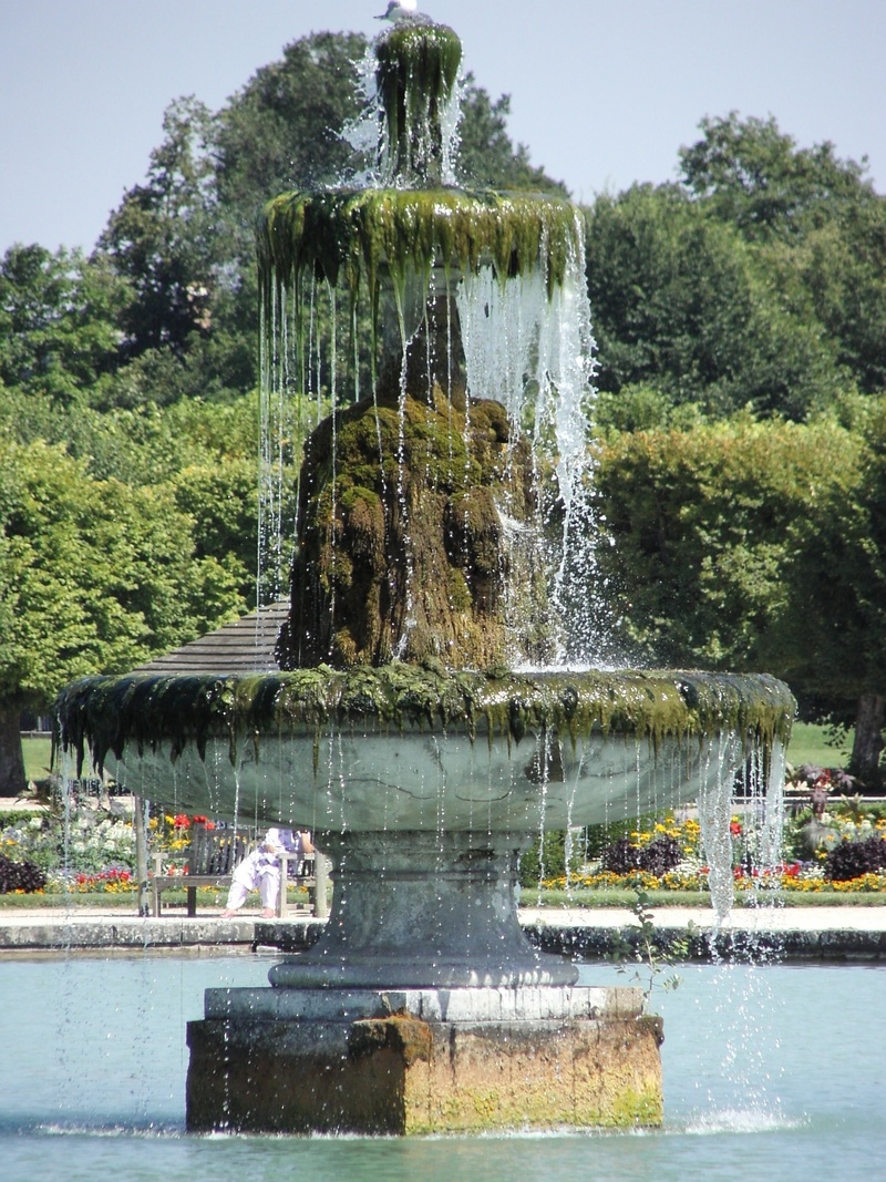 growth, flowing water, lake, 1080P, architecture, motion, water, plant, nature, garden, outdoors, day, fountain, sky, tree, reflection, no people, spraying