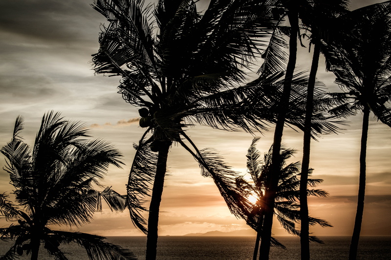 scenics - nature, tropical climate, no people, nature, atardecer, sunrise, plant, sky, 5K, outdoors, palmera, silhouette, indonesia, horizon over water