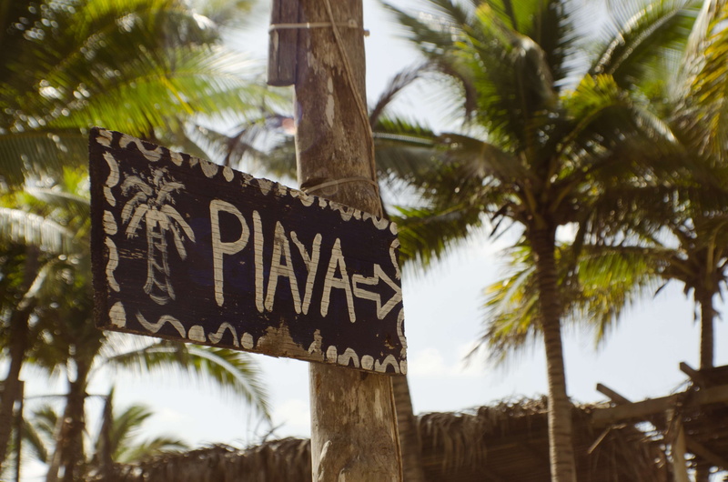 tree, palms, playa, coconut palm tree, low angle view, growth, communication, focus on foreground, plant, palm leaf, outdoors, letrero, trunk, western script