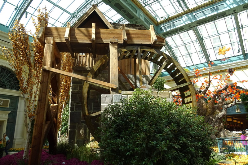 1080P, tourism, glass - material, greenhouse, las vegas, sunlight, wood - material, boulevard, casino, outdoors, plant, day, gambling, strip, window, built structure