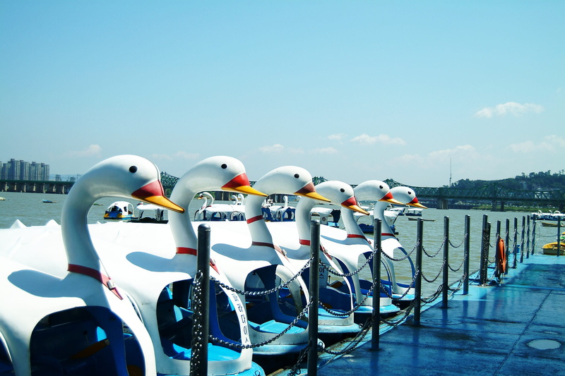 side by side, 2K, dip, transportation, mode of transportation, swelter, no people, sunlight, white color, blue, the heat, in a row, duck master, copy space