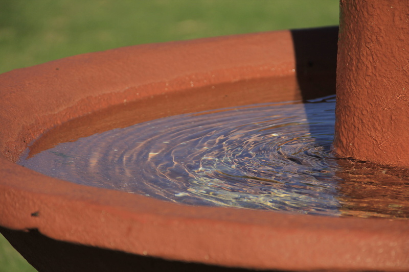 no people, outdoors, selective focus, motion, concentric, nature, circle, day, focus on foreground, shape, art and craft, close-up, sources, orange color