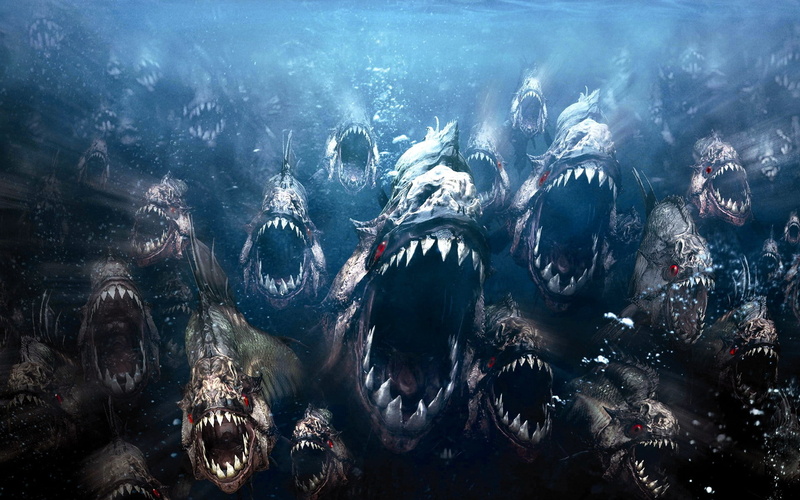 swimming, 1080P, sea life, undersea, evil, no people, nature, sea, water, horror, vertebrate, underwater diving, piranhas, animals in the wild, large group of animals