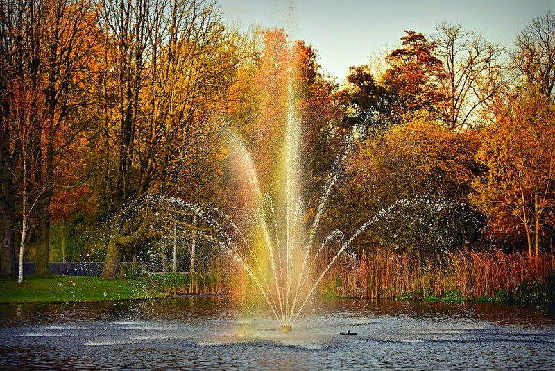 netherlands, autumn, autumn trees, tree, change, fountain, spraying, pond, park, nature, no people, 4K, vondelpark, mensaap, water, beauty in nature, plant