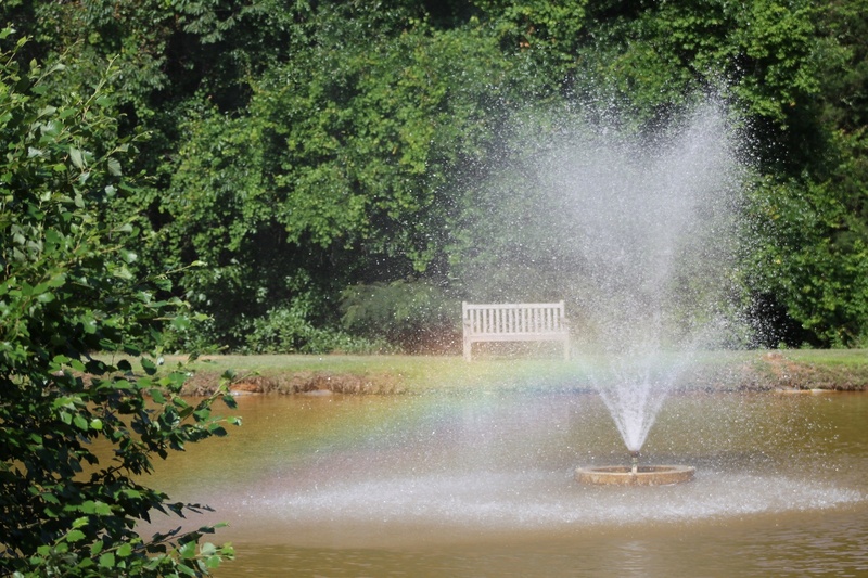 fountain, flowing water, spraying, architecture, water, nature, beauty in nature, spray, tree, rainbow, day, scenics - nature, waterfront, garden, growth