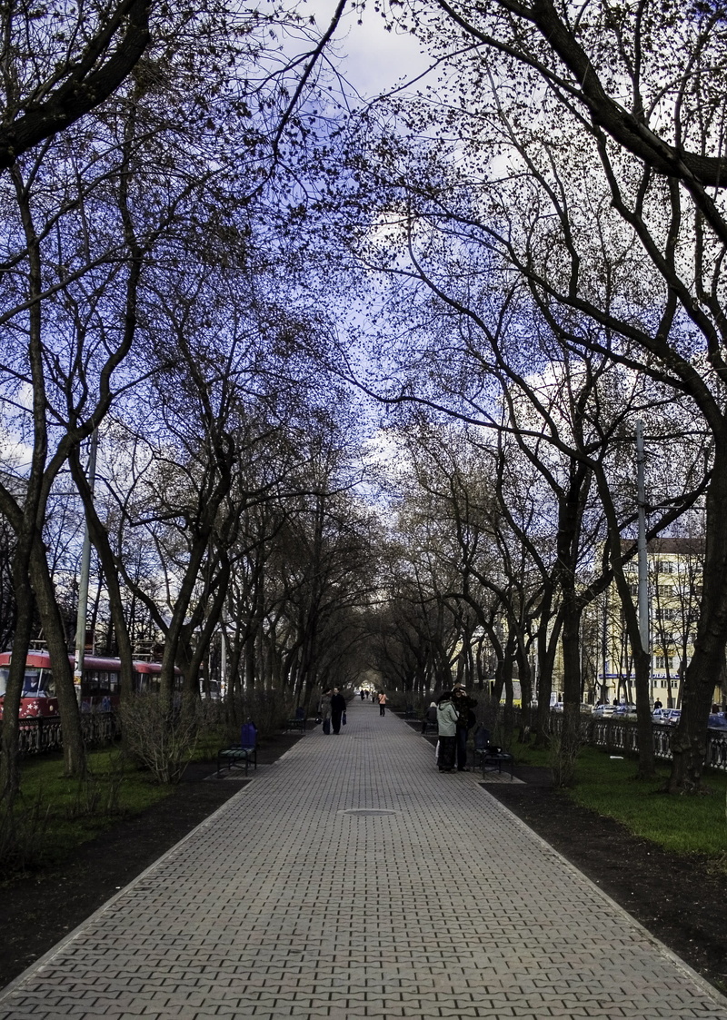photo, footpath, direction, architecture, incidental people, public domain, bare tree, the way forward, nature, outdoors, plant, tree, urban Scene, city