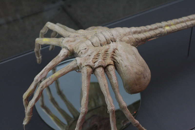 1080P, Alien, Facehugger