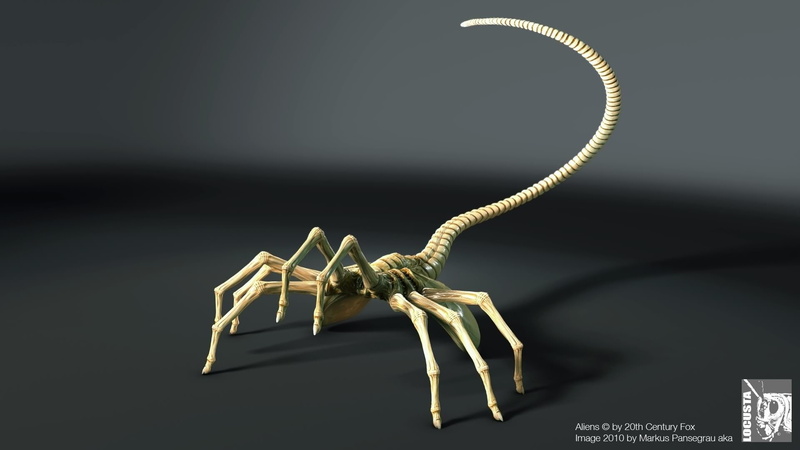 black background, Creature, animal themes, insect, invertebrate, Alien, one animal, studio shot, animal, communication, close-up, praying mantis, Facehugger