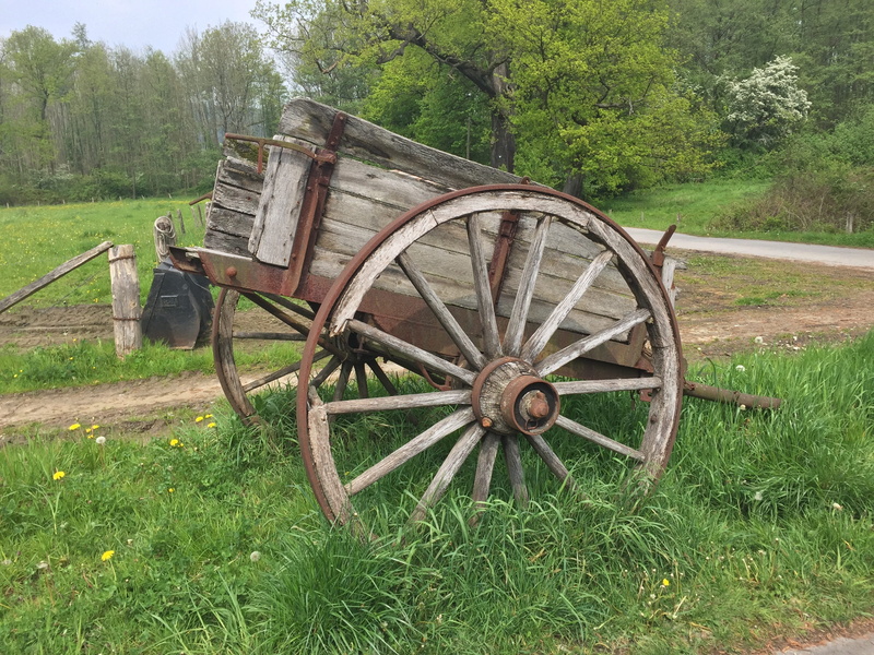 old, rural, land, tree, day, no people, Coach, transportation, obsolete, field, grass, plant, abandoned, growth, green color, wood - material, wagon wheel