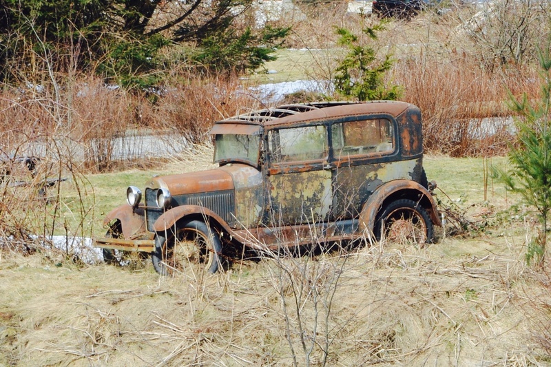 dirty, abandoned, run-down, antique, ruined, 1080P, deterioration, aged, rusty car, tree, rusty, old, field, land, no people, mode of transportation, plant