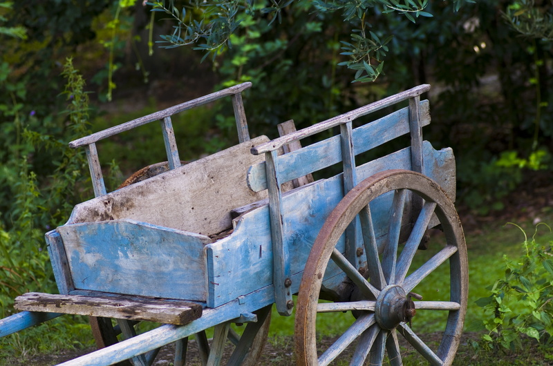 field, transportation, land, abandoned, old, nature, cart, no people, plant, rusty, old time, wagon wheel, blue, weathered, day, mode of transportation