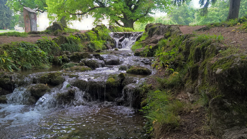 rainforest, 4K, body of water, monza park, flowing water, tree, growth, motion, forest, outdoors, flowing, river, land, blurred motion, beauty in nature