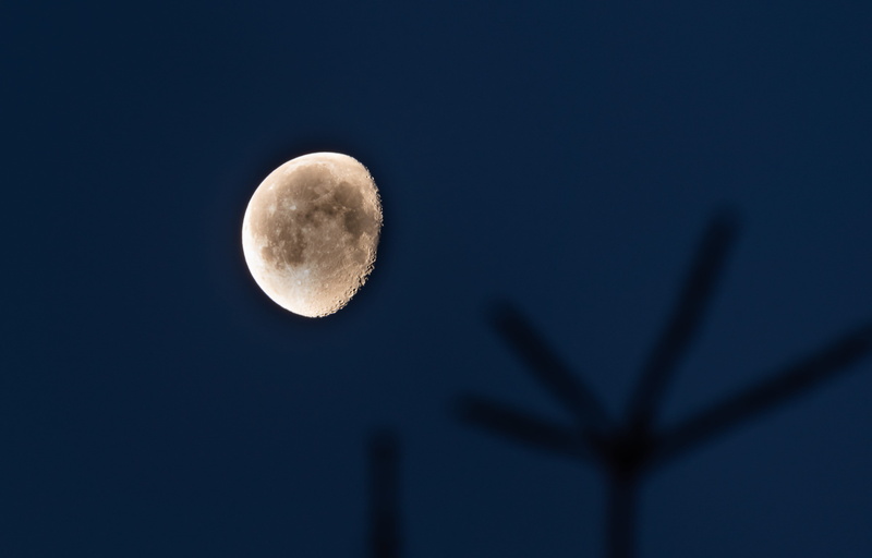 planetary moon, slimming, no people, moon, star - space, silhouette, space, cloud - sky, 5K, beauty in nature, low angle view, nature, moonlight, dreiviertelmond