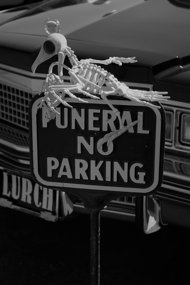 information, day, western script, architecture, nature, horror, halloween decoration, grim, human representation, transportation, skeleton, communication