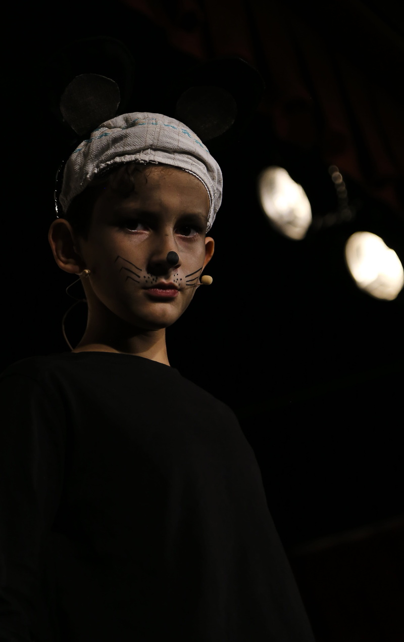 boys, leisure activity, illuminated, black background, child, actor, one person, headshot, theater, males, real people, portrait, standing, lifestyles