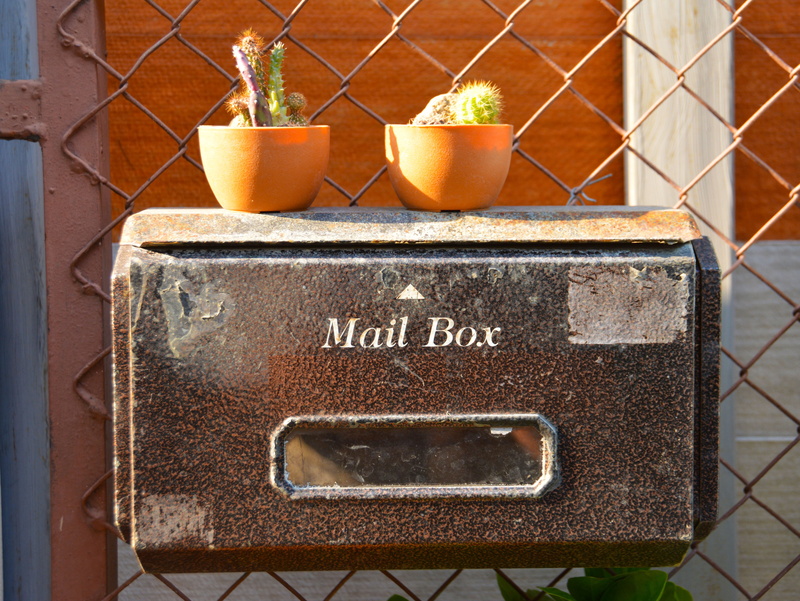 retro, box, post, grungy, no people, day, antique, 4K, script, brown, rusted, mailbox, delivery, gardening, steel, two, message, plant, shipping, nature