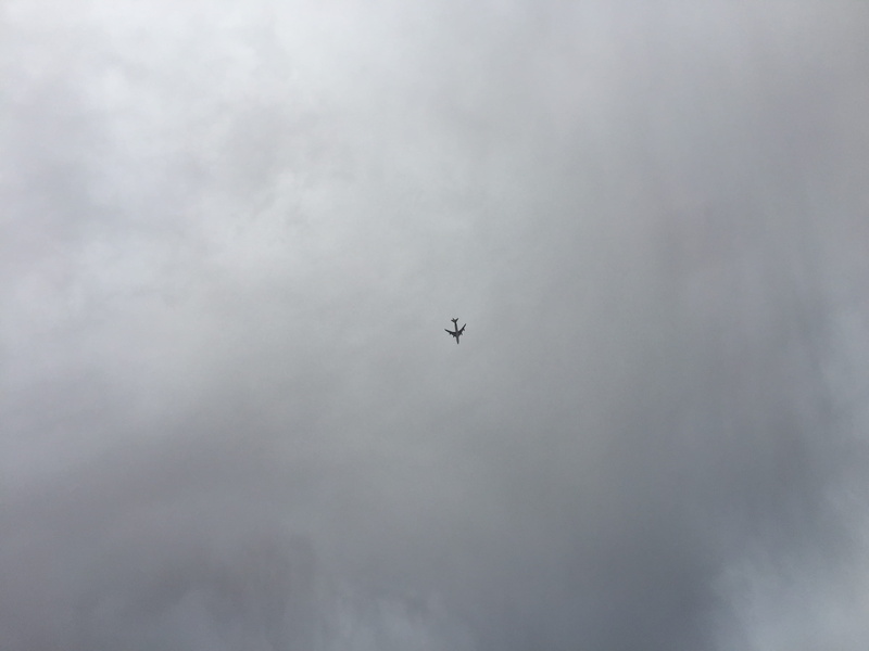 airplane, vertebrate, nature, animal themes, animal, fly, clouds, 2K, cloudy sky, aircraft, plane, vehicle, photography, transportation, mid-air, flying