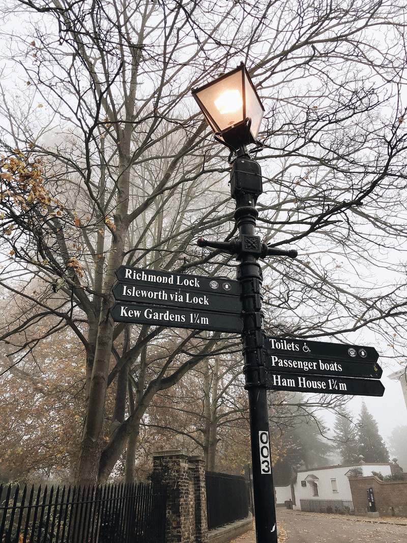 information, lamp, branch, urban, signs, sign, iron, landscape, low angle view, 4K, information sign, lamp post, plant, cast, guidance, road, street light