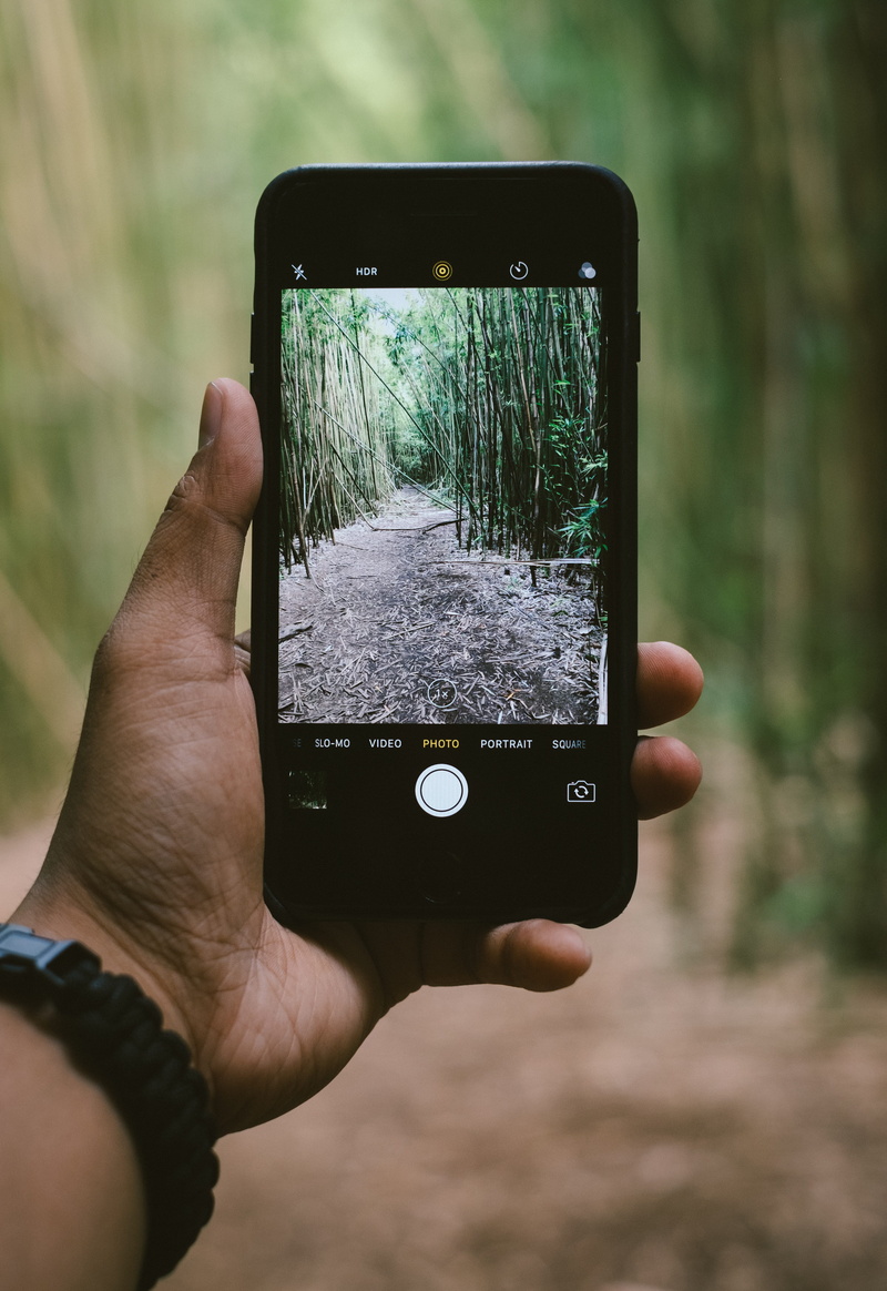 lifestyles, picture, iPhone 7, holding, activity, outdoors, photography, hand, black, communication, 4K, bamboo, photography themes, plants, iphone, photographing