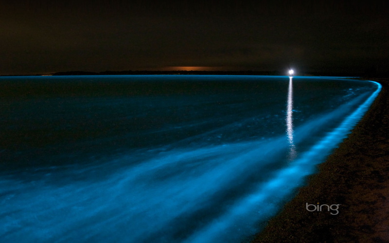 beach, nature, horizon, communication, opportunity, urban skyline, horizon over water, october, motion, number, urban, water, glowing, sea, sign