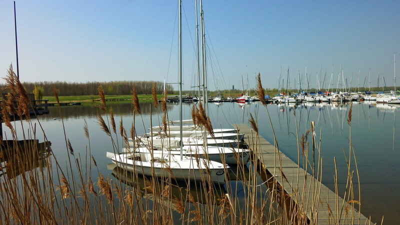 sailing boat, beauty in nature, clear sky, moored, nature, anchored, Sports, Cospudener See, Water, reflection, sailboat, harbor, sailing, 1080P, transportation