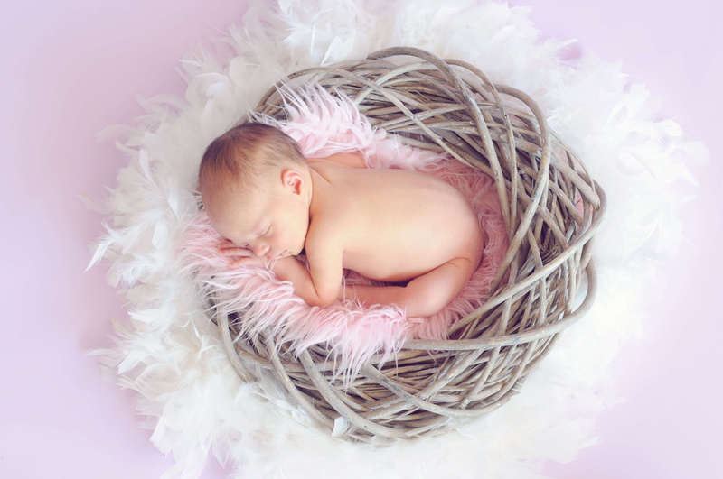 new born, new life, pose, young, sleeping, softness, newborn, eyes closed, photoshoot, one person, lying down, cute, girl, hair, relaxation, beginnings