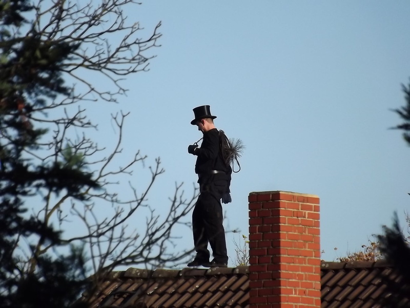 roof, chimney sweep, leafed, clothing, green, standing, plant, clear sky, representation, 1080P, building exterior, day, hat, real people, house, architecture