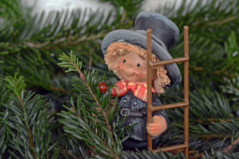 men, tree, christmas decoration, christmas, new years eve, child, nature, 4K, childhood, the turn of the year 2018, hat, creativity, male likeness, ladybug