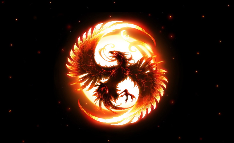 Fenix, 1080P, heat - temperature, celebration, glowing, motion, indoors, circle, illuminated, Bird, creativity, logo, orange color, Artistic, burning