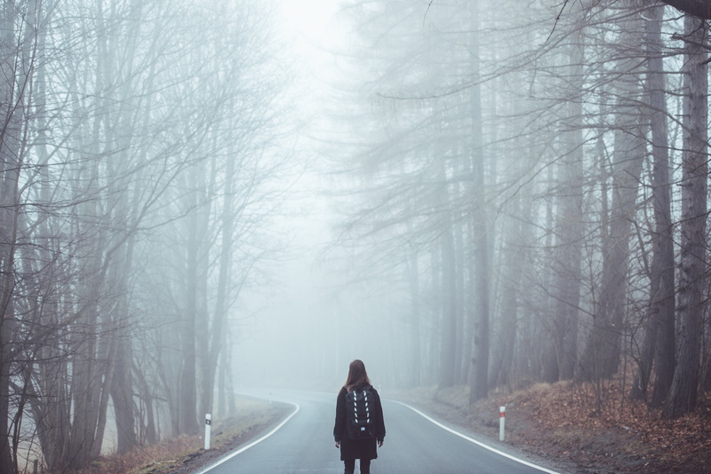 treelined, woodland, woman, girl, plant, forest trees, bare, solitude, the way forward, 5K, beauty in nature, road, mist, forest, winter, daytime, one person