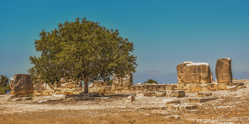 sunlight, ruined, outdoors, tree, cyprus, sky, history, old ruin, deterioration, built structure, nature, blue, palepaphos, clear sky, remains, no people